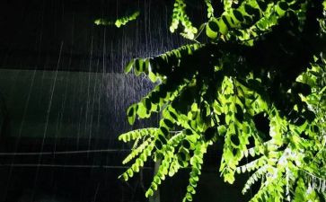 雨来故事读后感200字参考7篇