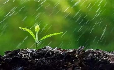 幼儿园小班下雨了教案6篇