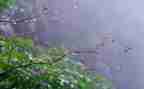 春雨的色彩优秀教案6篇