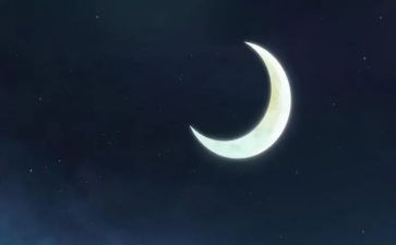 月亮上的鱼读后感6篇