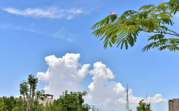 学校活动云活动方案策划模板6篇