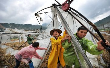 住房灾后申请书参考8篇