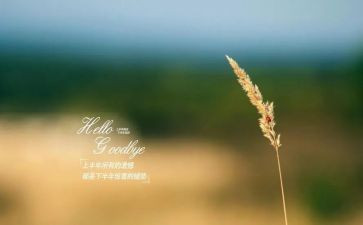 《再见了,老师》作文模板6篇