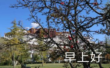 早教班的教学计划6篇