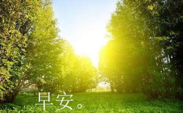 早教师日工作计划精选7篇