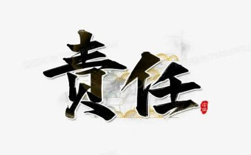 讲责任的工作总结8篇