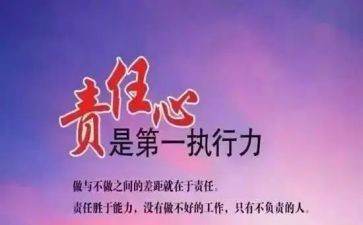 村书记主体责任述职报告7篇