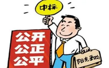 招标工作的工作总结通用5篇