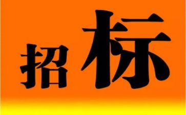 招标工作个人年终总结6篇