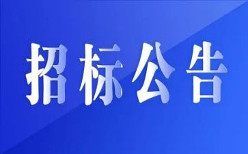 招标工作的工作总结优秀7篇