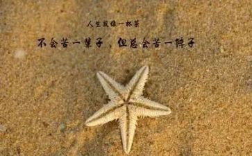 有哲理的演讲稿精选8篇