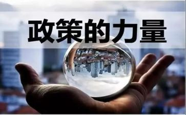 述政策心得体会优秀8篇