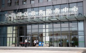 政务工作总结2023精选6篇