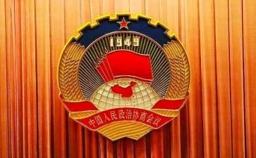 村政协工作总结8篇
