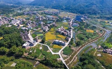 2024年乡村振兴心得体会范文6篇