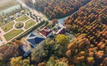 甘州社区治理工作计划7篇