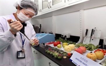 质量师工作计划最新7篇
