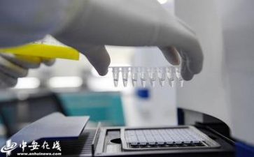 质量活动总结报告范文7篇