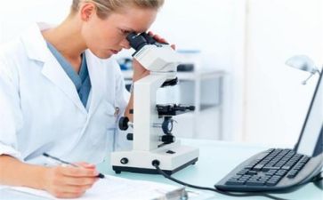 质量部2023工作总结精选6篇
