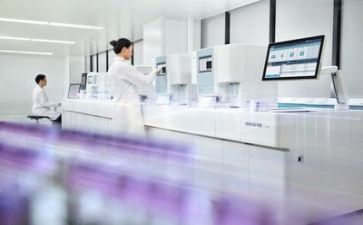 质量2023工作总结精选8篇