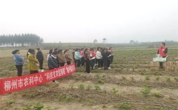 支农劳动心得体会6篇