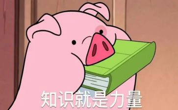 知识讲座工作总结8篇