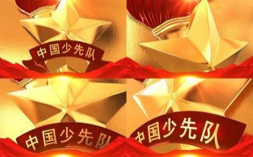 502中队辅导员工作总结6篇