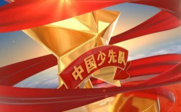 中队辅导工作总结7篇