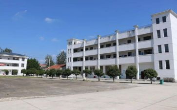中心校校长述职述廉报告6篇