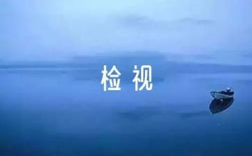 自检自查报告范文5篇
