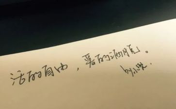 爱与自由的读后感6篇