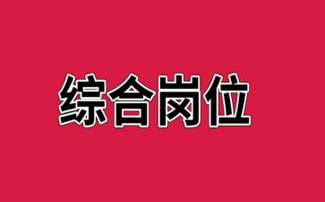 行政综合岗工作总结6篇