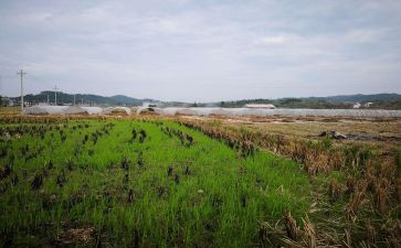 房屋租赁合同的模板6篇