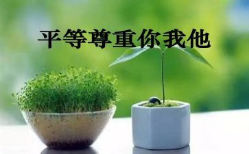 尊重心得6篇